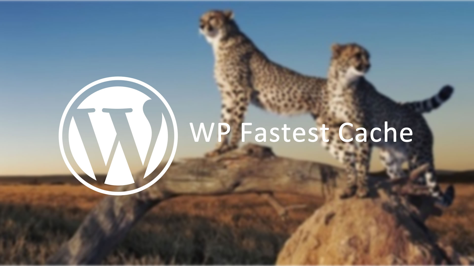 O melhor plugin de cache para o WordPress